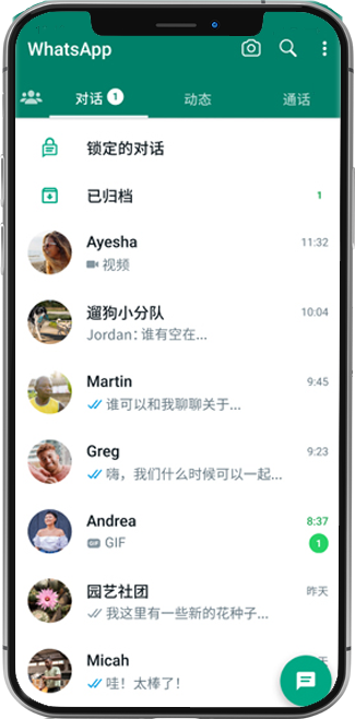 WhatsApp web