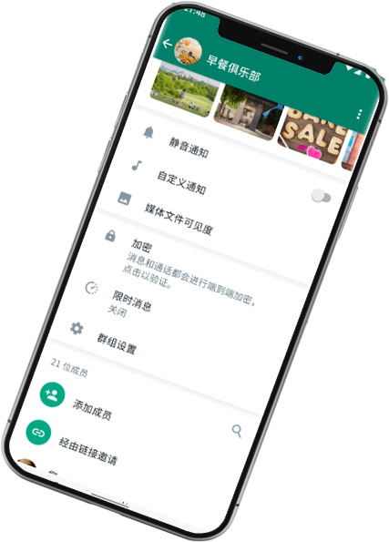 WhatsApp web